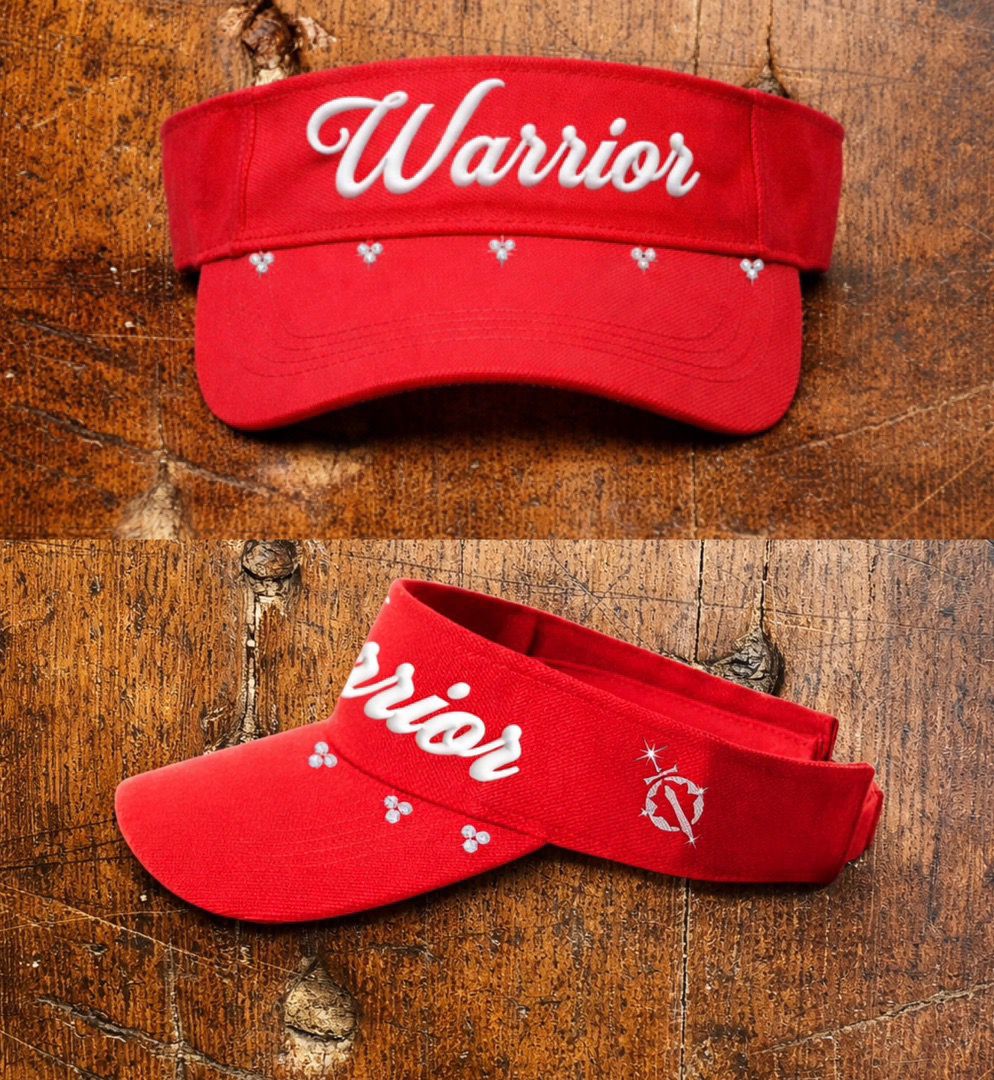 Visor Shield